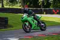 Lower Group Green Bikes